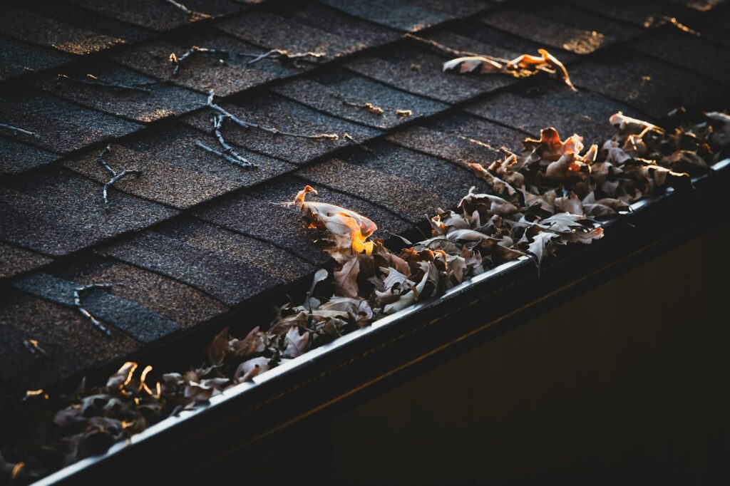 A close-up of a house roof with cracked shingles and a gutter filled with dry, fallen leaves, illuminated by sunlight—showing a clear need for gutter service in Lyndhurst.